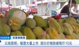 吃瓜娱乐间榴莲,热带果王背后的传奇与争议