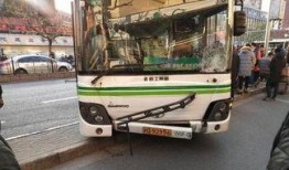 青岛公交车爆料视频大全,揭秘城市公交那些事儿