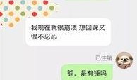 怎么给爆料视频投稿呢,如何成功给爆料视频投稿