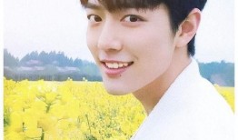 小微娱乐大爆料肖战,小微娱乐大爆料，揭秘明星幕后故事